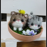 ＊コロンとした２匹のねこちゃん②＊