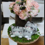 ＊桜の木の下で２匹のお昼寝ねこちゃん（グレー）＊