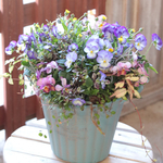 ビオラと冬知らずの花束植えB