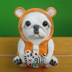 干支(寅)コスプレ★ペキニーズ③