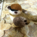 スズメさん