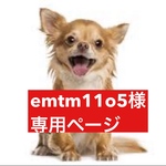 専用ページ