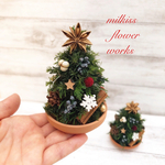 手のひらサイズのクリスマスツリー