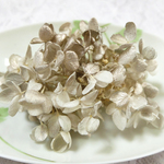 新色　ピラミッド紫陽花　あじさい　アジサイ　プリザーブド　ホワイトプラチナ