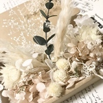 マカロンマシュマロベージュシルバーデージー＊花材詰め合わせ＊花材セット＊ドライフラワー花材