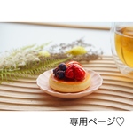 chiho様専用ページ♡