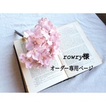 rowry様専用ページ