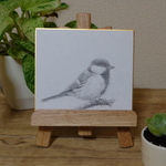 鉛筆原画『シジュウカラ』　ミニ色紙