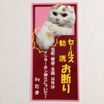 猫パンチ 玄関用ステッカー1匹用