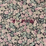 【𝕠𝕣𝕕𝕖𝕣品 】 cookie様♡