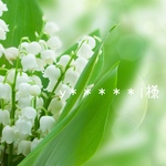 オーダー Y様