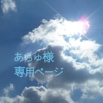 あちゅ様専用ページ