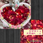 謝恩サービス中♡1000円→900円！★大容量！大特価！ミニ薔薇の花びら（大小mix）9gセット★花弁　ドライフラワー★花材　素材★レジン加工　アクセサリー素材に★結婚式のフラワーシャワーにも♡