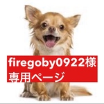 専用ページ