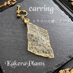 光り輝くドラゴンのイヤリング(片耳用)✶Shining dragon earring✶