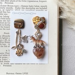 button animal series 【キツネ】