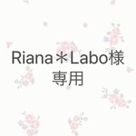 『小さなクリスマスリースブローチ』 ライトアメジスト×ピンク[NT-037]