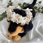 ✴︎再販✴︎《dog》プリザーブドフラワーの花冠☆P-3