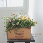 お花の贈り物❁⃘カリブラコア＆ビオラの可愛い寄せ植え