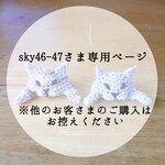 sky46-47さま専用ページ