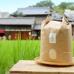 新米【金鵄米/5kg/５分づき】きんしまい2020年産ヒノヒカリ：のし付き可