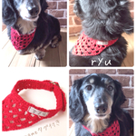 ❤️再販❤️赤再入荷‼︎ペットさんのバンダナ♡8collarあります♪S.M.Lサイズ