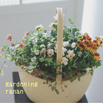 お花の贈り物❁⃘ビオラ＆カリブラコアのおしゃれ寄せ植え
