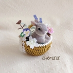 花かごうさぎ  ビオラ　🐰グレー