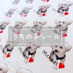 我が家のアイドルシール\❤︎/