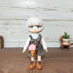 ストロベリーアイスバッグ【4s～Lサイズ】