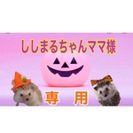 ししまるちゃんママ様専用