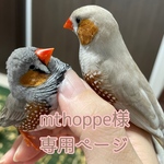 mthoppe様専用ページ【選べる表地20種】小鳥・小動物のおでかけ・通院・避難用キャリー バッグ （いっしょに おでかけ ウィズ キャリーMサイズ）　冬モコインナーバッグM