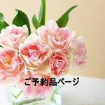 愛様ご予約品ページ