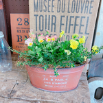 新入荷♡【フリルビオラ 華あられ寄せ植え】長く楽しめる可愛いガーデニング♡オレンジ系ブリキ鉢♪
