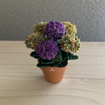 秋色あじさい　花鉢　