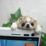 スマホの上からこんにちは(^^)シーズー　イヤホンジヤック