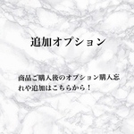 追加オプション