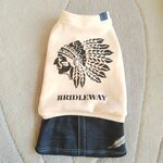 犬服！Msize！インディアン！デニムスカート