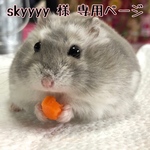 skyyyy様 専用ページ⸜❤︎⸝‍