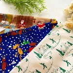★クリスマス★カットクロス３枚セット【25～34㎝×38～50㎝】《クリスマス》《サンタクロース柄》《トナカイ柄》