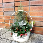 サルフレアとチェッカーベリー クリスマスの雰囲気バスケット
