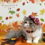 🏵秋色お花のベレー帽🏵 ピンク🍂