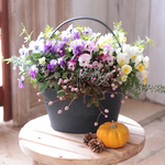 ふんわりビオラの花束植え