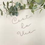 レタリング　C’est la vie (虫ピン付属) 韓国インテリア