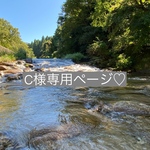 C様　専用ページ　3点