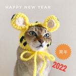 ✳︎寅年✳︎耳穴付き帽子🐯yellow×black