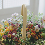 お花の贈り物❁⃘ボリューム満点の絶妙color❁⃘ビオラ＆ネメシアのcuteな寄せ植え