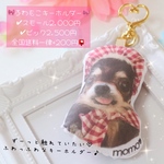 愛犬♡愛猫♡ふわもこキーホルダー♡ペットオーナーさまへのプレゼントにも♪メモリアルギフトにもOK。大切なあの子といつでも一緒♪