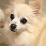☆あ…様専用ページ☆