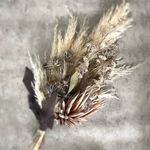 パンパスグラスとキングプロテアのふわふわスワッグ